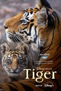 ดูหนังออนไลน์ฟรี ไทเกอร์ Tiger (2024)